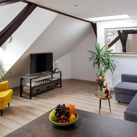 Vip In Old Town With Free Parking Bratislava